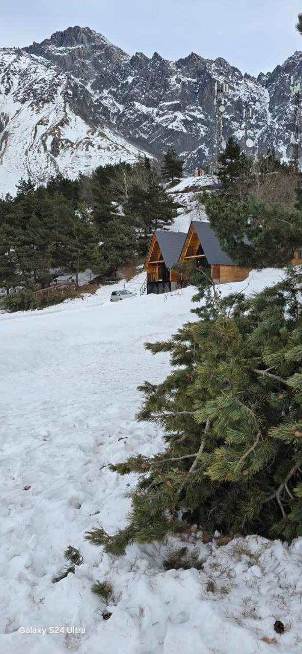Cottage Paradise Kazbegi Ngoại thất bức ảnh